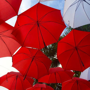 Meet your Posher, Deanne